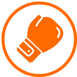 Icone Boxing